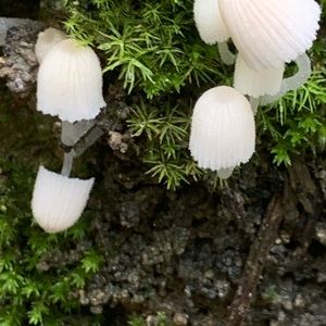 Meet your Posher, Aubrie